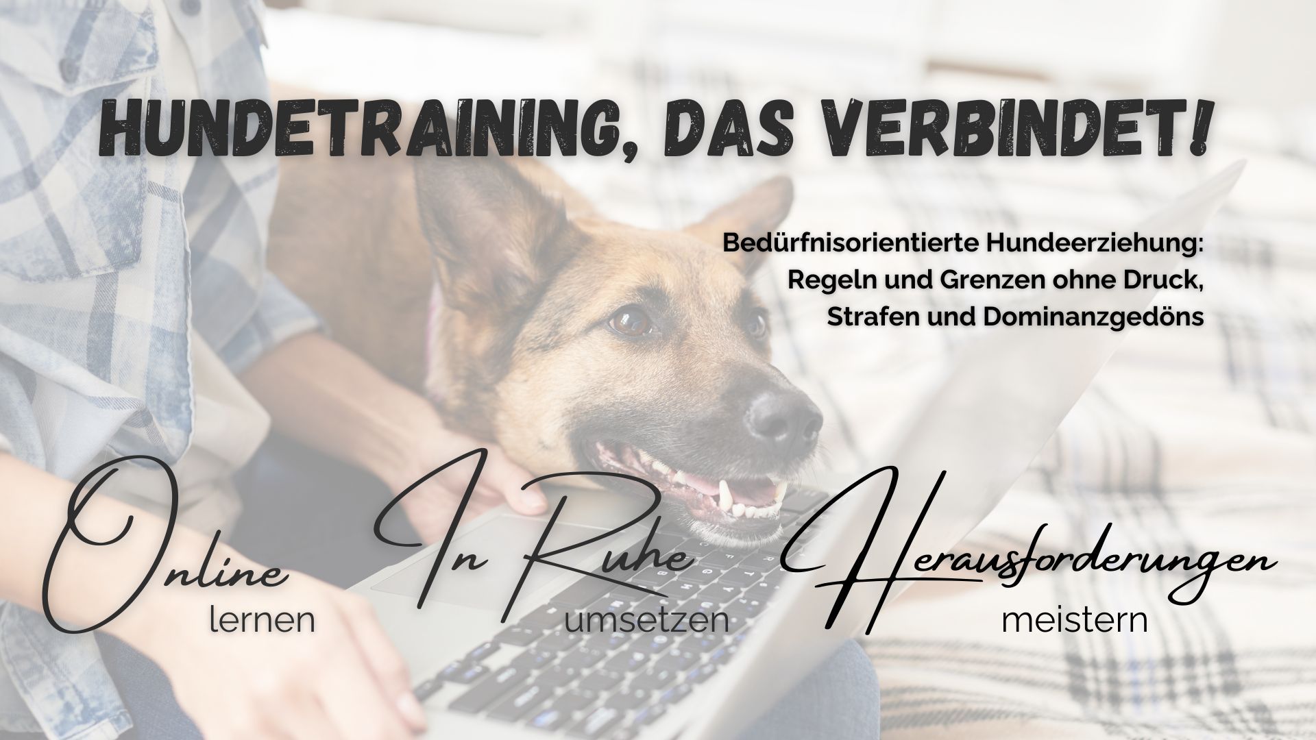 PAWship Hundetraining - Onlinekurse und Webinare für bedürfnisorientiertes Training ohne Strafen, Druck und Dominanzgedöns