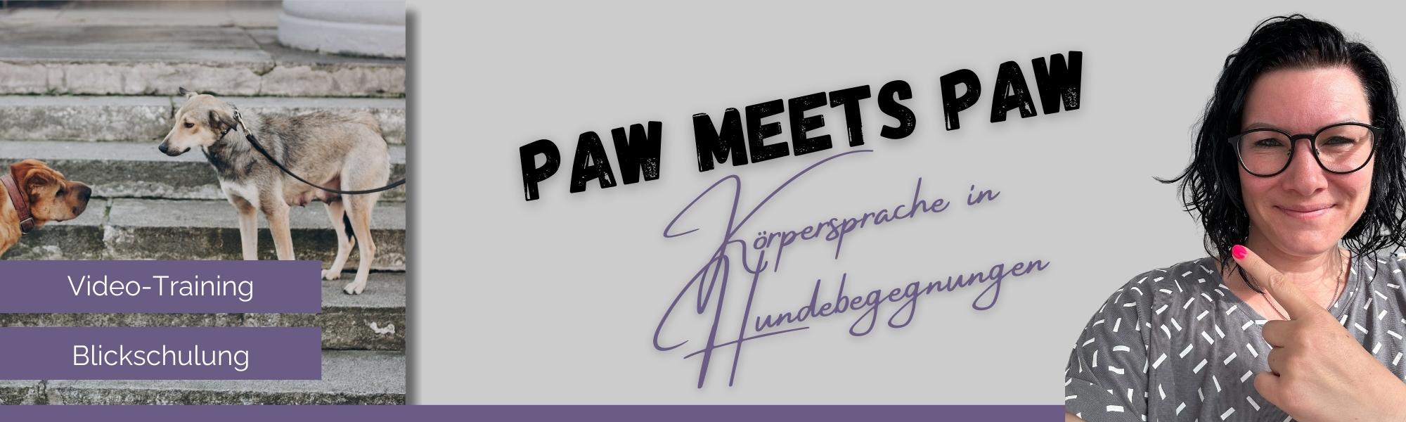 Video-Training (Aufzeichnung) PAW meets PAW - Entspannte Hundebegegnungen