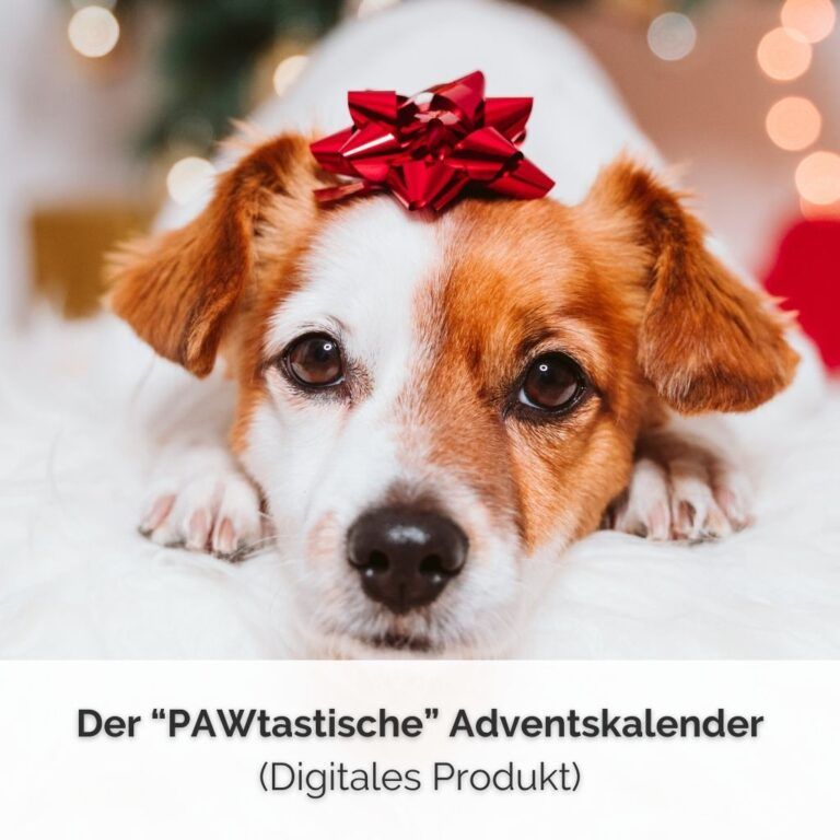 Digitaler Adventskalender für Hundemenschen