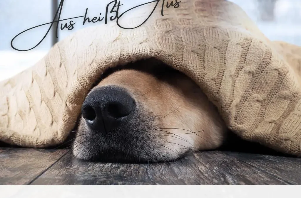 Happy PAWs Online Club -Winter Edition- | NOVEMBER 2024 (Selbstlernkurs)