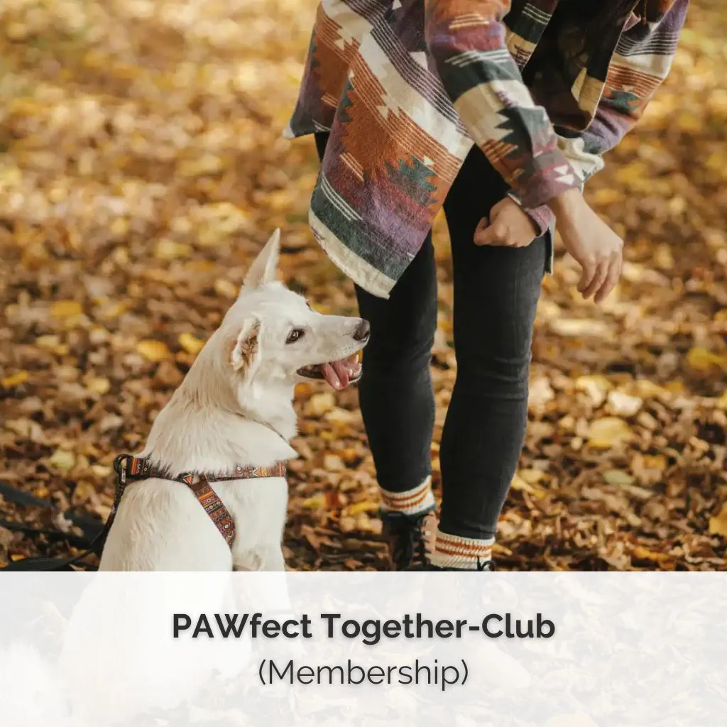 Checkout PAWfect Together-Club 1 SHOP COVER PAWfect Together Club