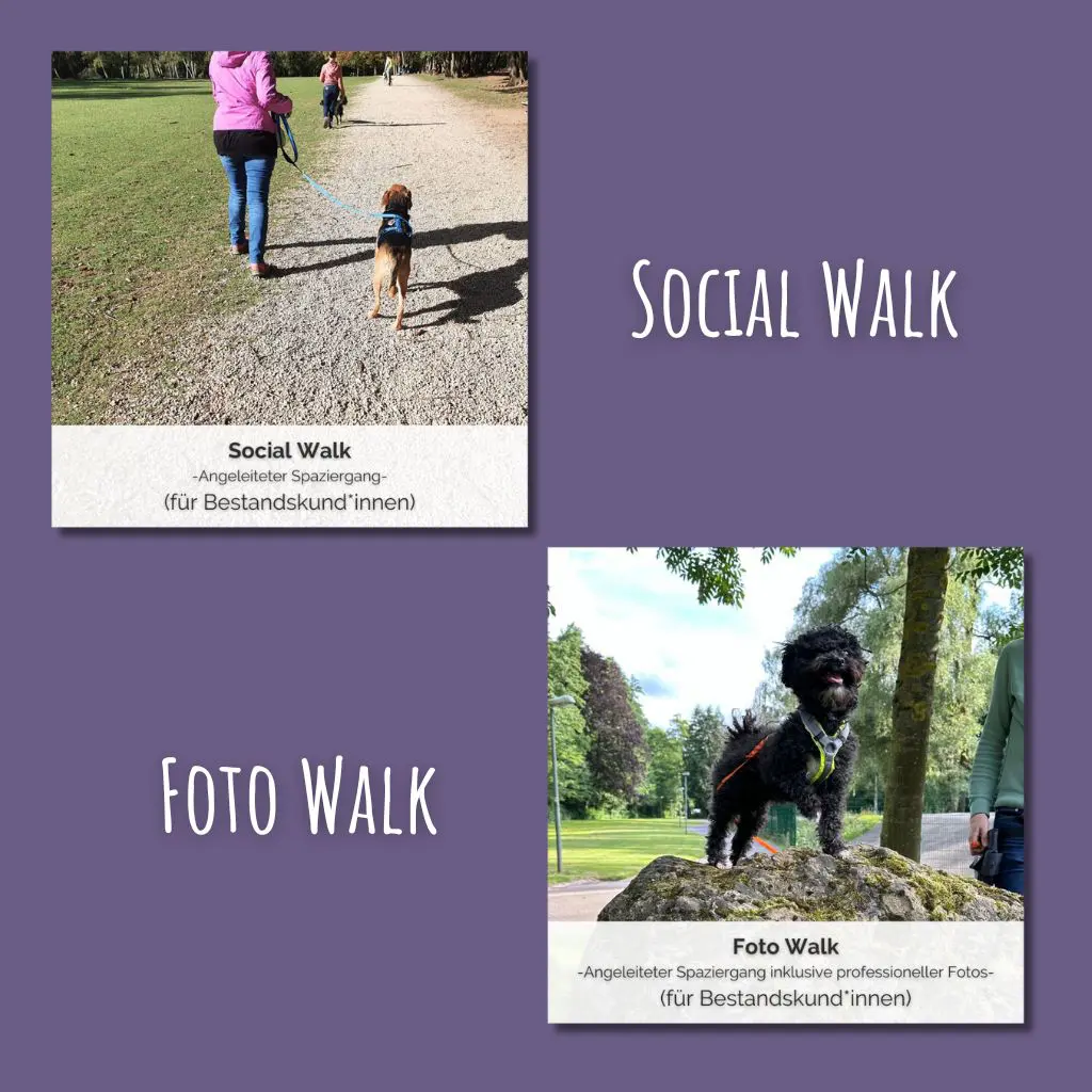 Shop-Bild für den Social Walk und Foto Walk