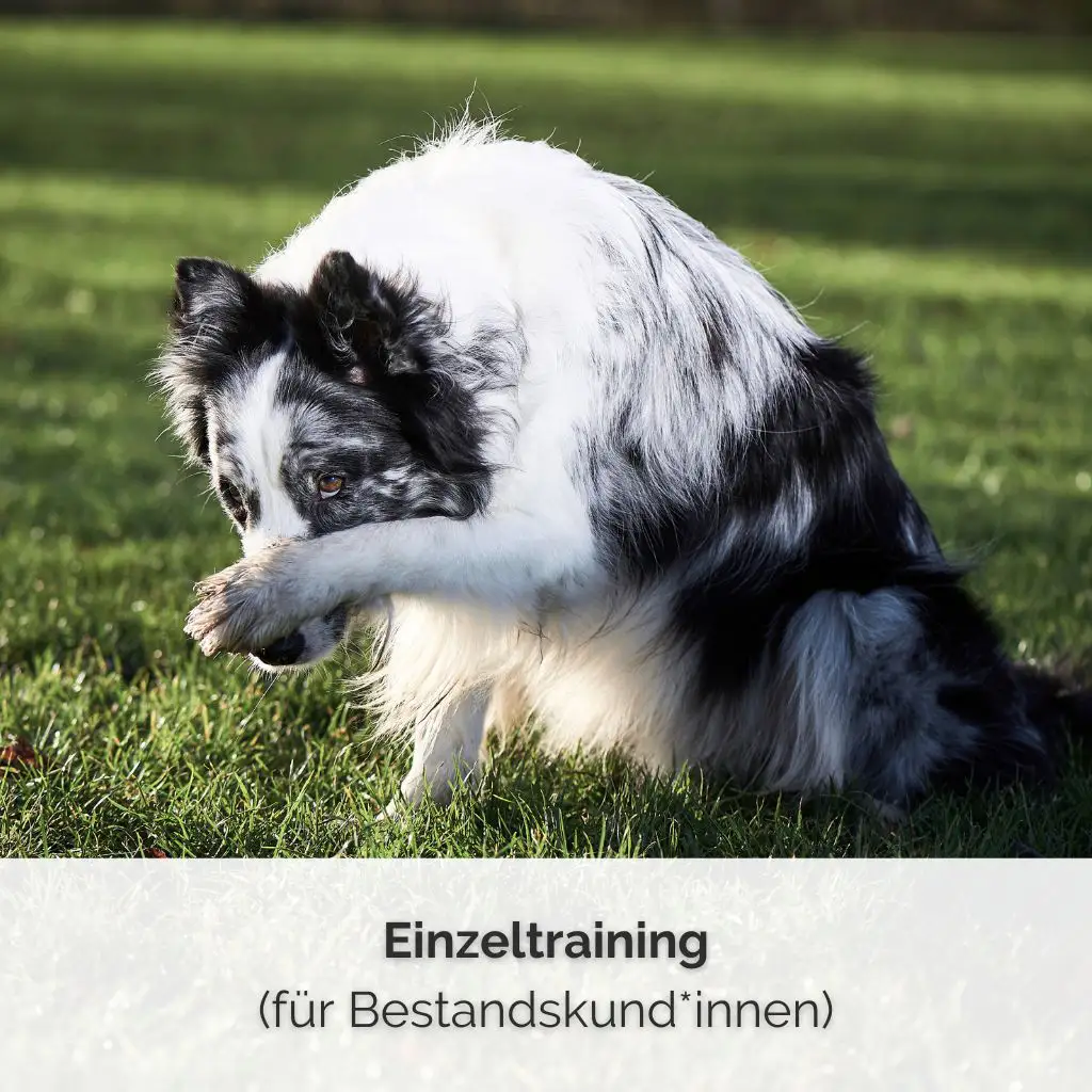 Checkout Einzeltraining 1 SHOP COVER Einzeltraining