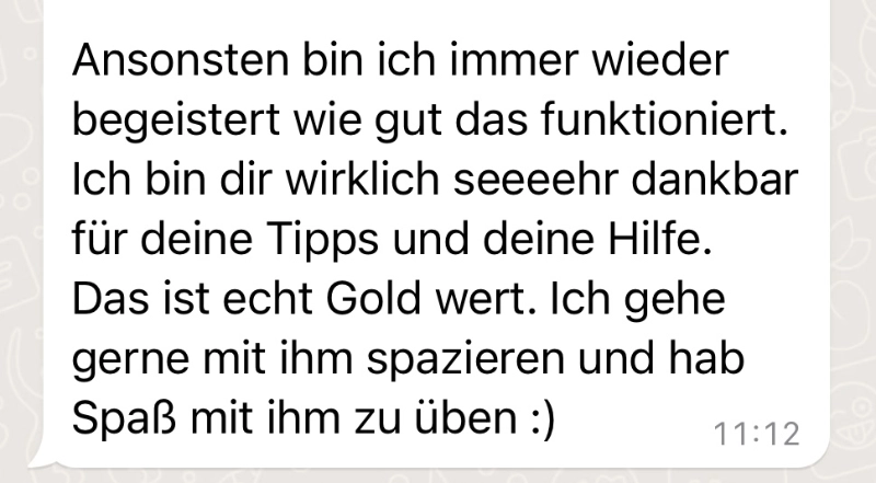 Testimonial-Spaziergänge Testimonial Spaziergaenge