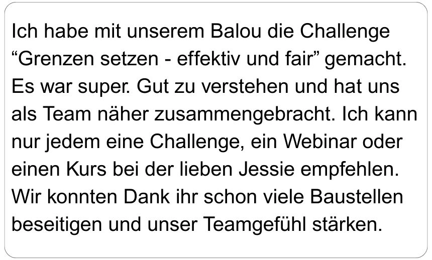 Kundenstimme Chatnachricht