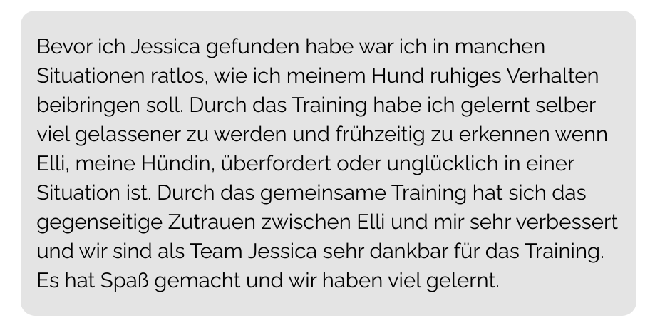 Testimonial-Dagmar-und-Elli-1 Testimonial Dagmar und Elli 1