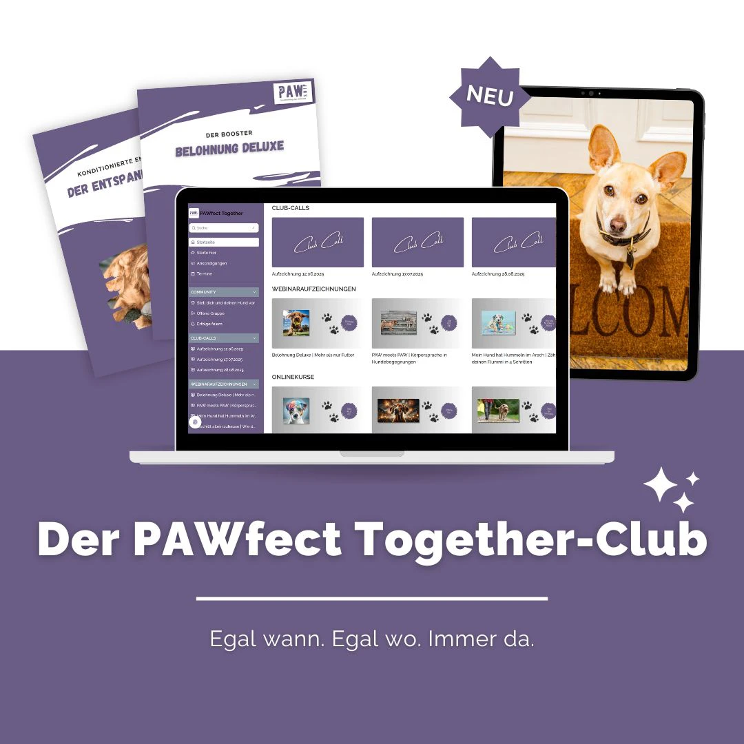 Eine Produktübersicht des Online Clubs