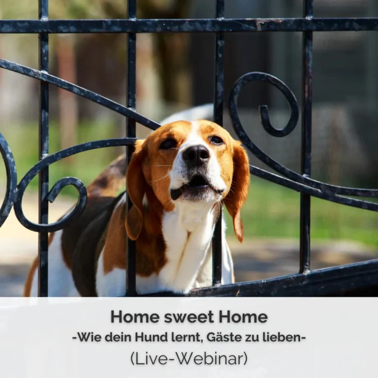 Shop-Bild für das Live-Webinar zum Thema Probleme mit Besuchern von PAWship