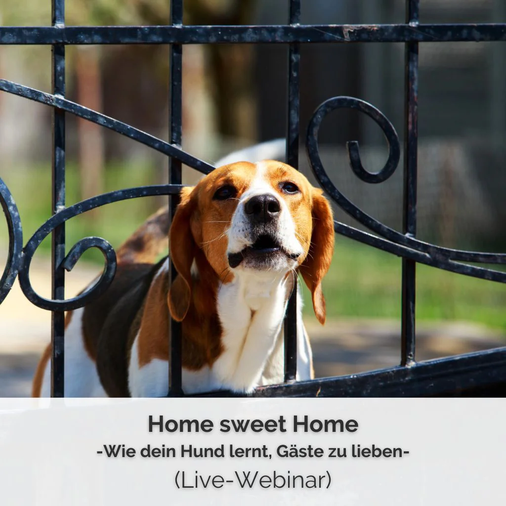Checkout | Home Sweet Home (Live-Webinar) 1 Shop-Bild für das Live-Webinar zum Thema Probleme mit Besuchern von PAWship