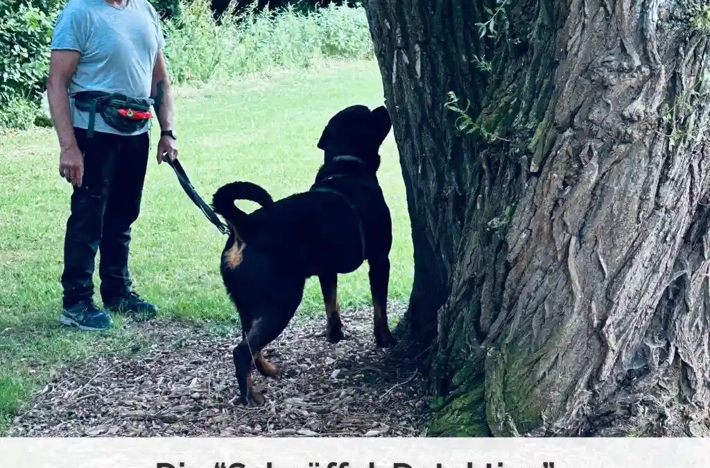 Die Schnüffel-Detektive – Nasenarbeit für den Alltag (Gruppenkurs)