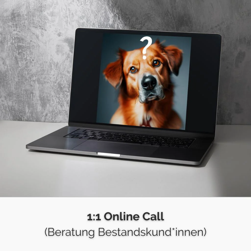 Shop-Bild für meine 1:1 Online Calls für Bestandskund*innen bei PAWship Ein Laptop. Auf dem Bildschirm sieht man einen blonden Hund, der den Kopf schief legt . Über dem Kopf ein Fragezeichen. Der Laptop steht vor einem grauen Hintergrund.