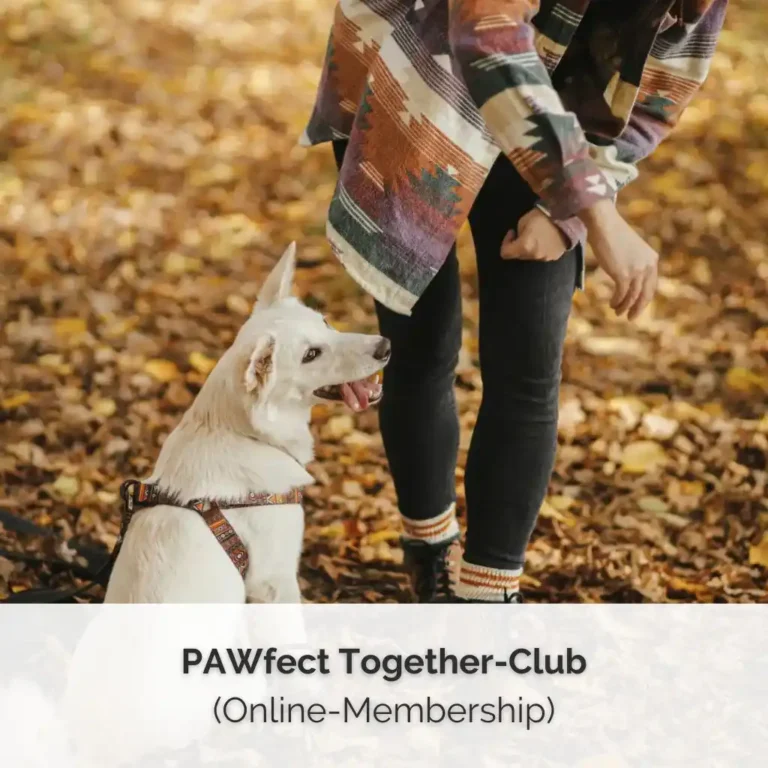 Shop-Cover für den PAWfect Together -Club (Online-Membership) von PAWship®